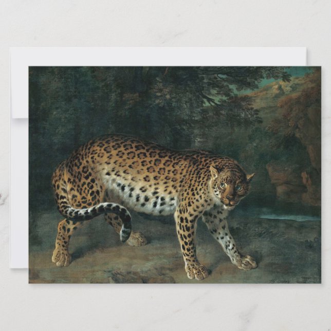 Leoparder (av Jean-Baptiste Oudry) Kort (Framsida)
