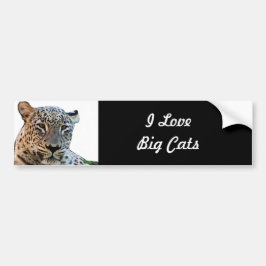 Leoparder Bildekal