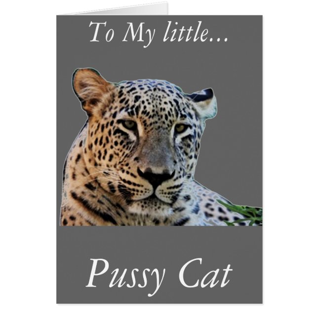 Leoparder Hälsningskort (Framsidan)