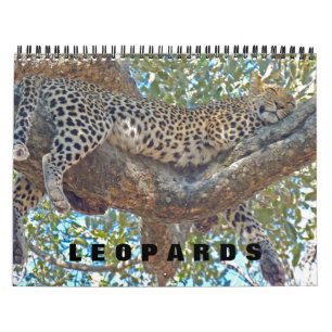 LEOPARDER - HELA LEOPARD-KALENDER KALENDER