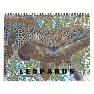 LEOPARDER - HELA LEOPARD-KALENDER KALENDER