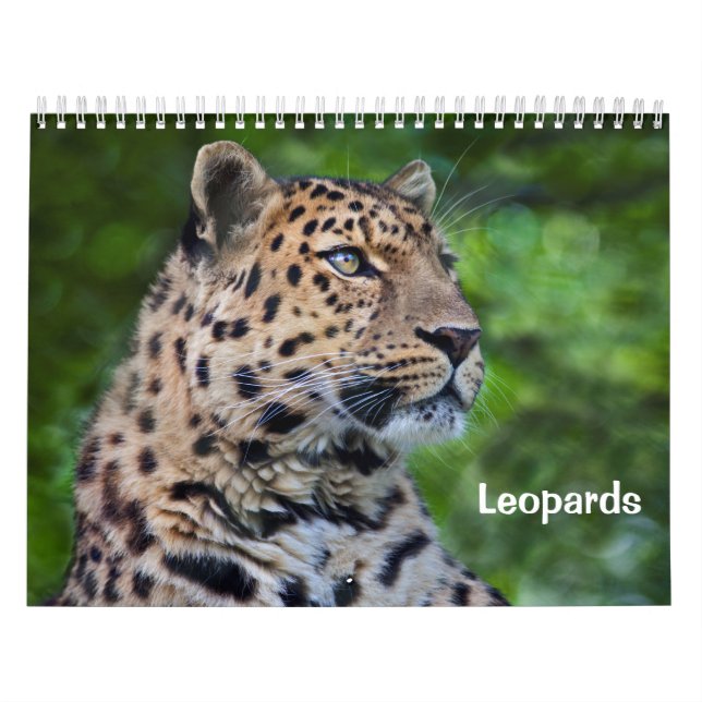 Leoparder Kalender (Omslag)