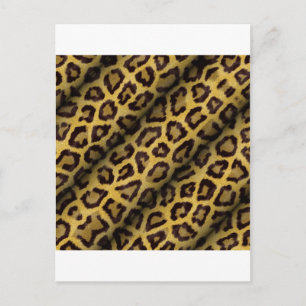 Leopardfläckar Vykort