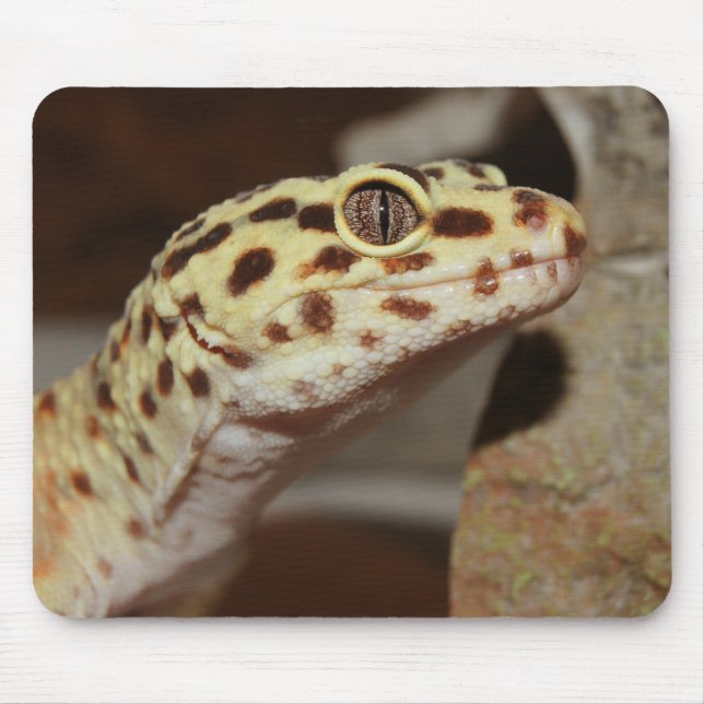 LeopardGecko Mousepad Musmatta (Framsidan)