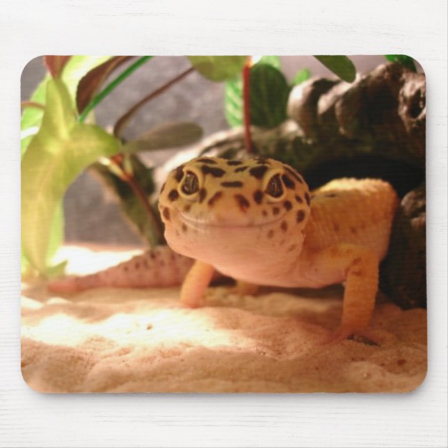 LeopardGecko Mousepad Musmatta (Framsidan)