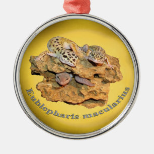 Leopardgeckodesign för alla! julgransprydnad metall