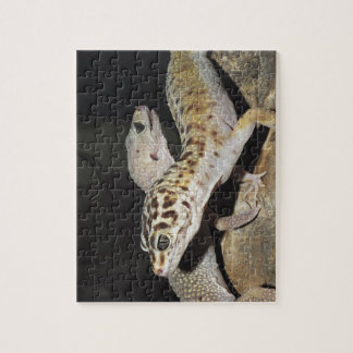 Leopardgeckodesign för alla! pussel