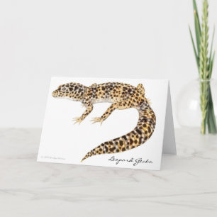 LeopardGeckokort Kort