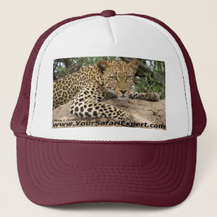 Leopardhatt Keps