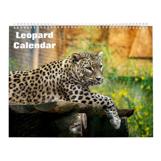 Leopardkalender 2025 kalender (Omslag)