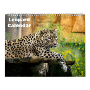 Leopardkalender 2025 kalender