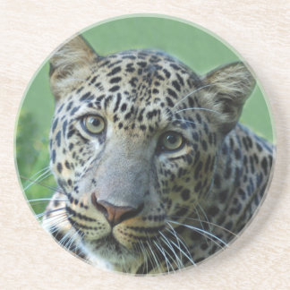 Leopardkustfartyg Underlägg