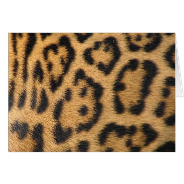 Leopardmönster Hälsningskort (Framsidan Horizontal)