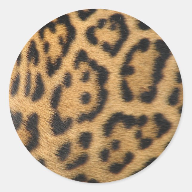 Leopardmönster Runt Klistermärke (Framsida)