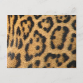 Leopardmönster Vykort