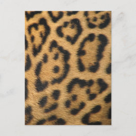 Leopardmönster Vykort