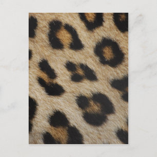 Leopardpäls texturmönster vykort