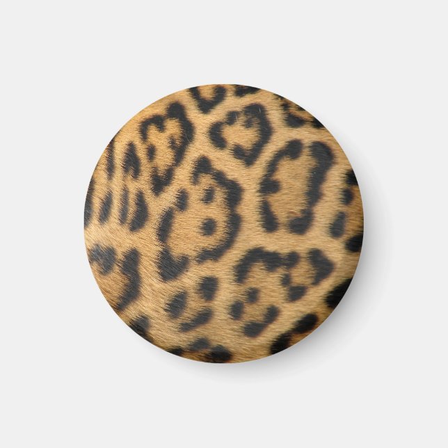 Leopardpälsfläcksmönster Magnet (Framsidan)