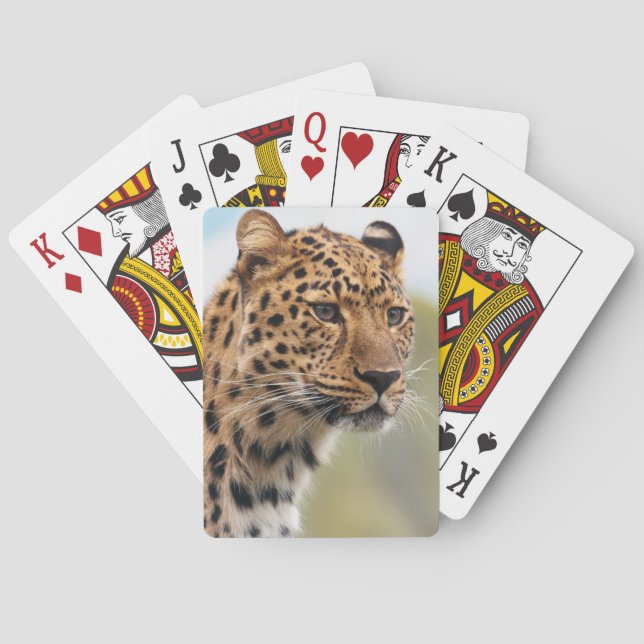 Leopardporträtt Spelkort (Baksidan)