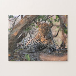 Leopardpussel Pussel