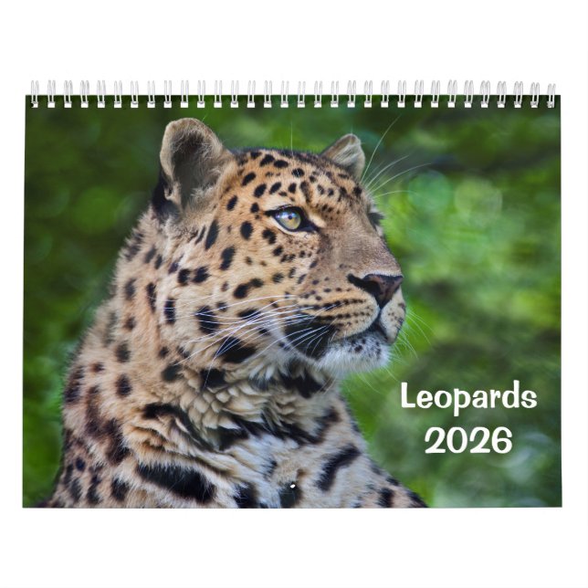 Leopards Calendar Kalender (Omslag)