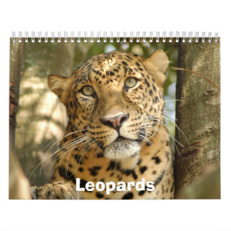 Leopards Calendar, Leopards Kalender