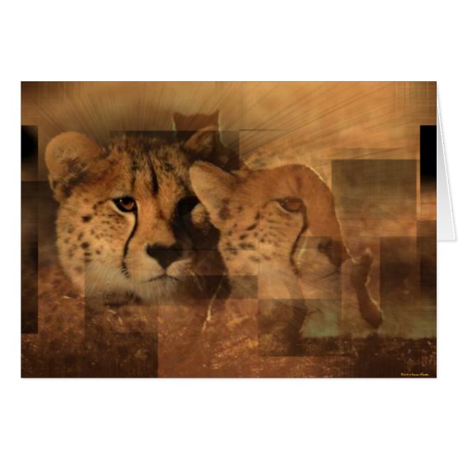 Leopards Card Hälsningskort (Framsidan Horizontal)