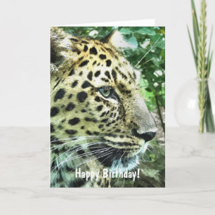 LEOPARDS KORT
