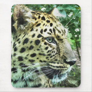 LEOPARDS MUSMATTA