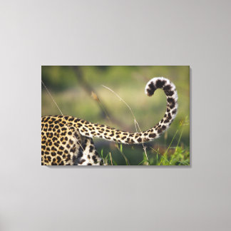 Leopards svan (Panthera pardus) Canvastryck