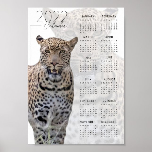 Leopards vilt 2022 Kalender Poster (Framsidan)