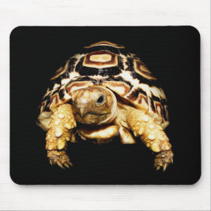 Leopardsköldpadda Mousepad Musmatta