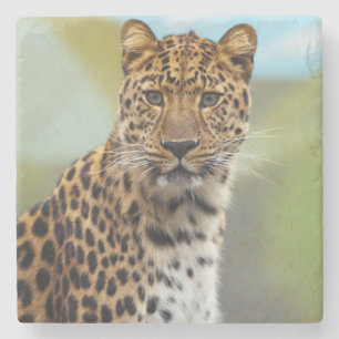 Leopardstenen Underlägg Sten