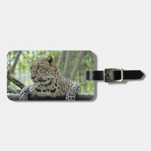 LeopardSundari_007 Bagagebricka