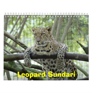 LeopardSundari_008 Leopard Sundari Kalender