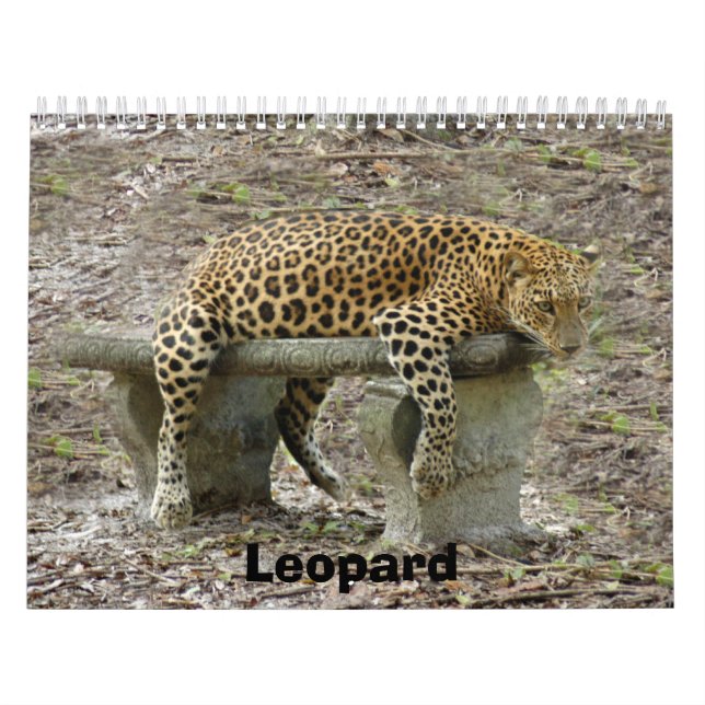 LeopardSundari_010 Leopard Kalender (Omslag)