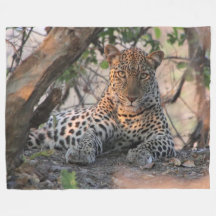 Leopardullfilt
