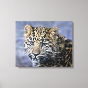 Leopardunge Inbunden Canvastryck