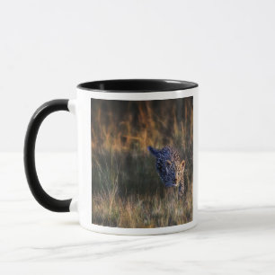 Leopardunge Panthera Pardus Mugg