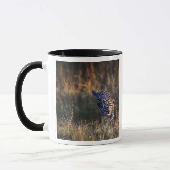 Leopardunge Panthera Pardus Mugg (Vänster)