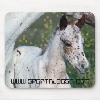 Leopardungsto Musmatta