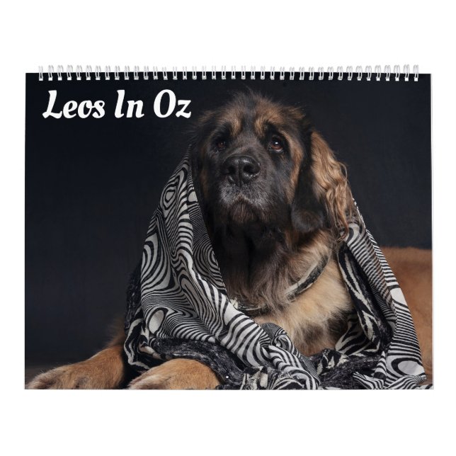 Leos in Oz Kalender (Omslag)