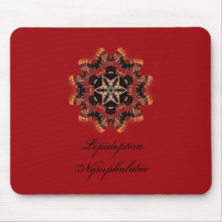 Lepidoptera Nymphalis Musmatta