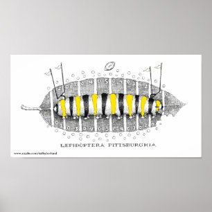 Lepidoptera Pittsburghia-Zazzle, www.zazzle.com.. Poster
