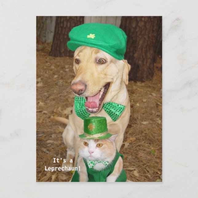 Leprechaun Sighting! Vykort (Framsida)