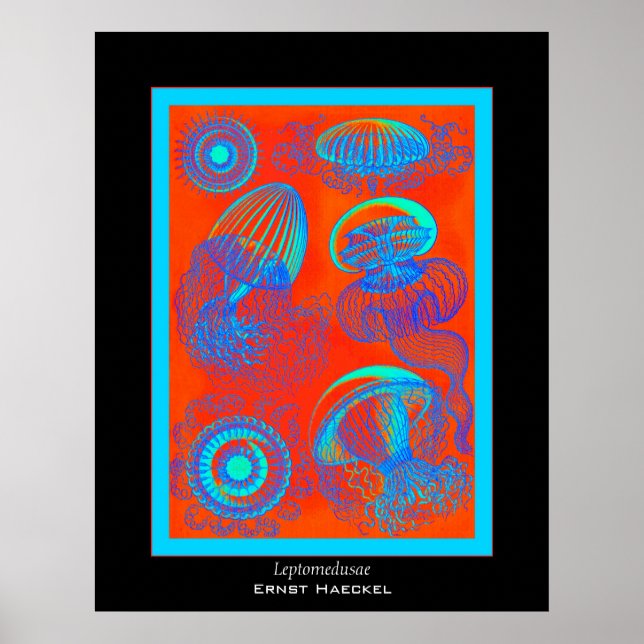Leptomedusae ~ Ernst Haeckel Print Poster (Framsidan)