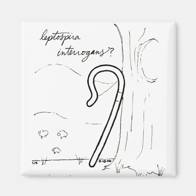 Leptospira Interrogans magnet (Framsidan)