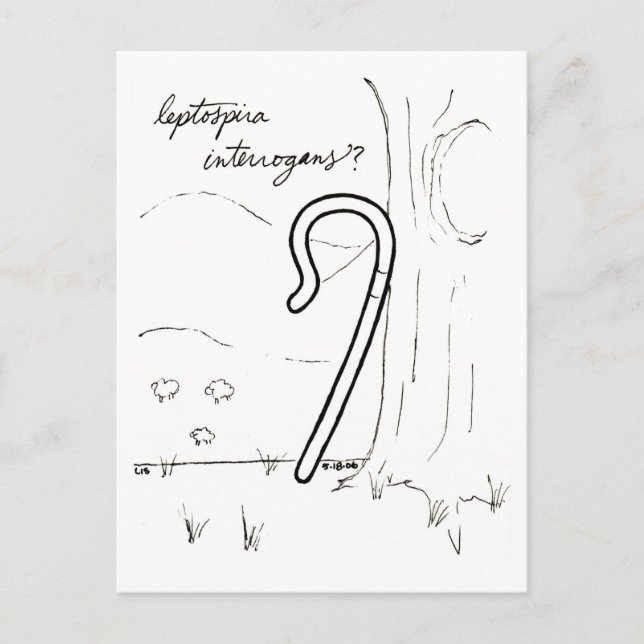 Leptospira Interrogans vykort (Framsida)
