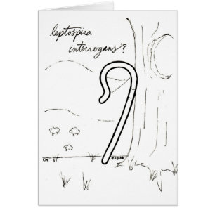 LeptospiraInterrogans kort