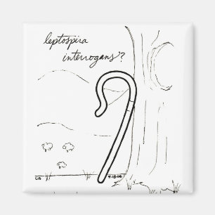 LeptospiraInterrogans magnet